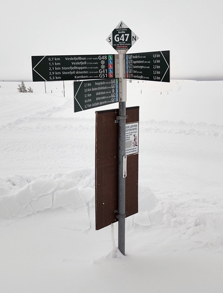 skitur storefjell stolpejakt