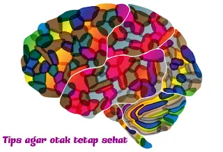 Tips Agar Otak Tetap Sehat http://jadigitu.com