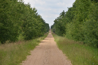 Trans Canada Trail Iron Horse Alberta.