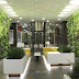 Interior Landscaping