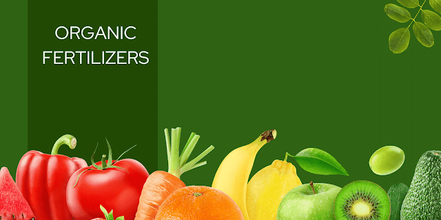 Organic fertilizers