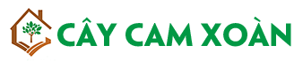 Cây Cam Xoàn