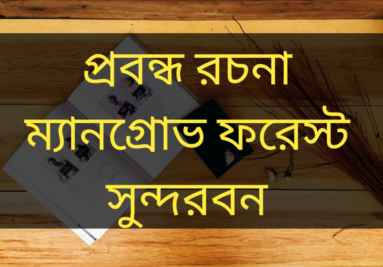 প্রবন্ধ রচনা ম্যানগ্রোভ ফরেস্ট, ম্যানগ্রোভ ফরেস্ট রচনা, বাংলা রচনা ম্যানগ্রোভ ফরেস্ট,