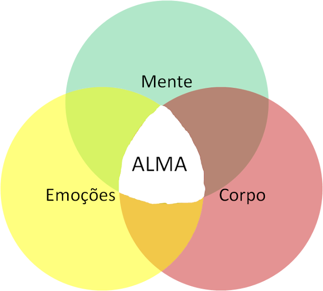 EDUCAÇÃO DO HOMEM INTEGRAL