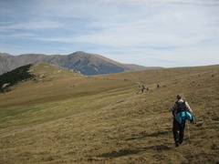 tornant a Fontalba
