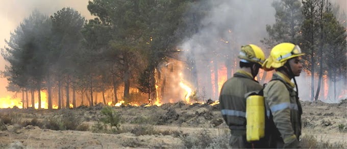 Incendio destruye 10,000 hectáreas en el norte de España