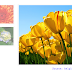 How to add a thumbnail image/photo gallery in Blogger