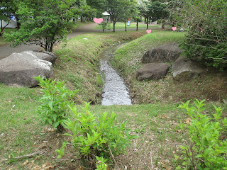 出会いの森総合公園オートキャンプ場