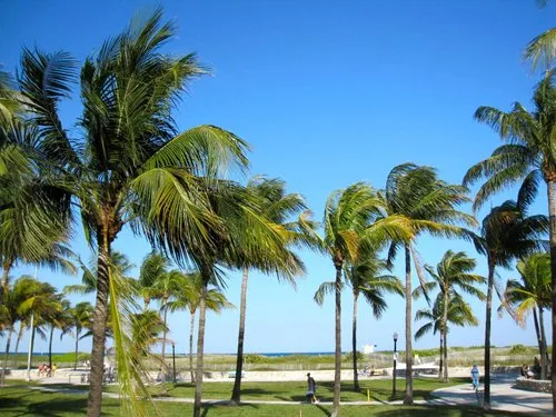 Lummus Park South Beach Miami