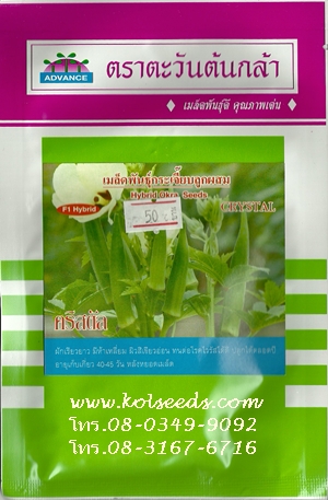 เมล็ดพันธุ์กระเจี๊ยบเขียว คริสตัล ต้านเชื้อไวรัส ตราตะวันต้นกล้า