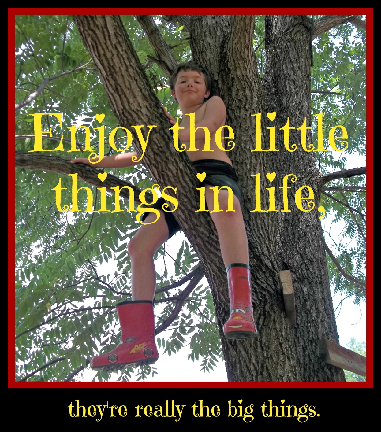 Enjoy the little things in life they re really the big things Go climb a tree today