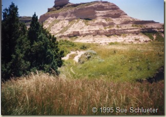 wagon tracks at Scotts Bluff