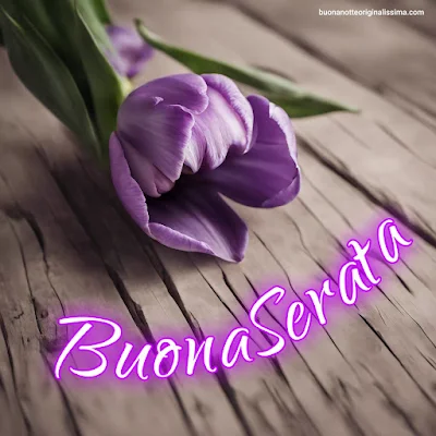 buona serata immagini bellissime