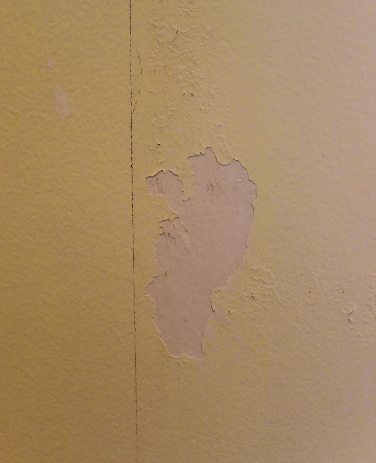 What To Do With Wallpaper Glue Thats Left On The Walls Driven By