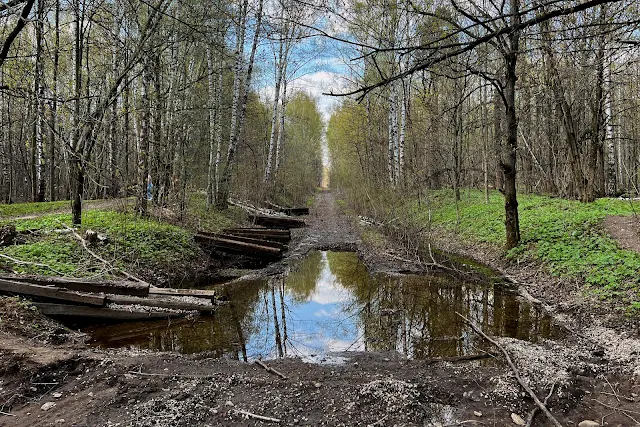 Лосиный остров, Абрамцевская просека, трасса бывшей железнодорожной ветки к 59-у арсеналу