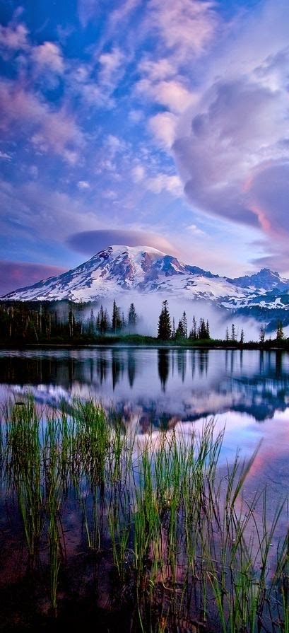 Reflections, Mt. Rainier National Park, Washington | Paul Bowman Photography! 