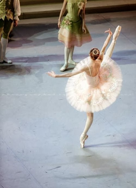 Svetlana Zakharova with the Mikhailovsky Ballet 