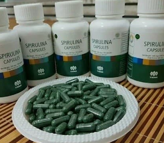 <br/><br/>Supplier Masker Spirulina<br/><br/><br/>