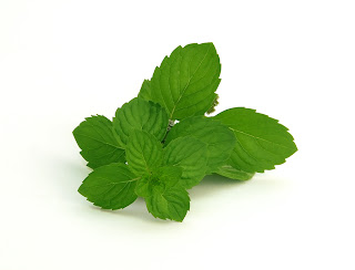 Spearmint Leaves