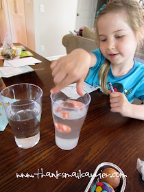 kids water experiment