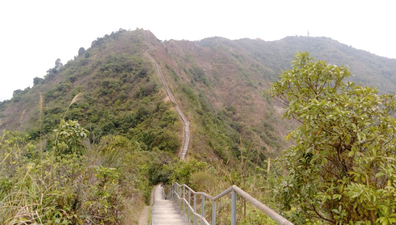 九龍坑山天梯
