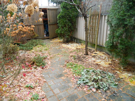 Toronto Oakwood Vaughan Backyard Fall Cleanup Before by Paul Jung Gardening Services--a Toronto Gardening Company