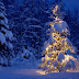 Beautiful White Christmas Tree 2016 HD Background 