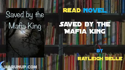 Saved by the Mafia King Novel