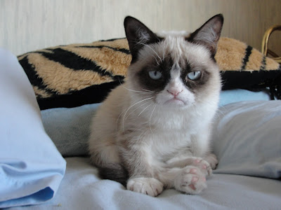 Grumpy Cat Good Morning