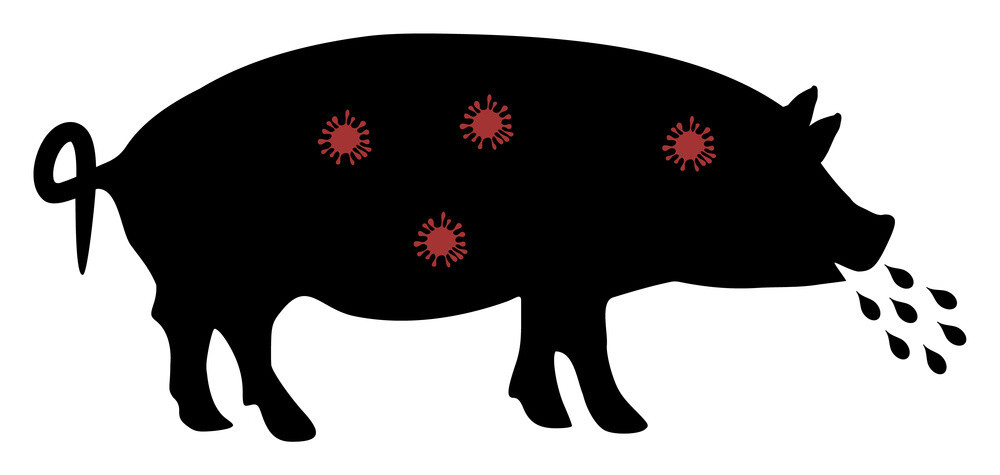 African swine fever virus