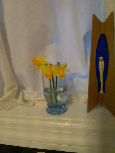 tete a tete daffodils vase