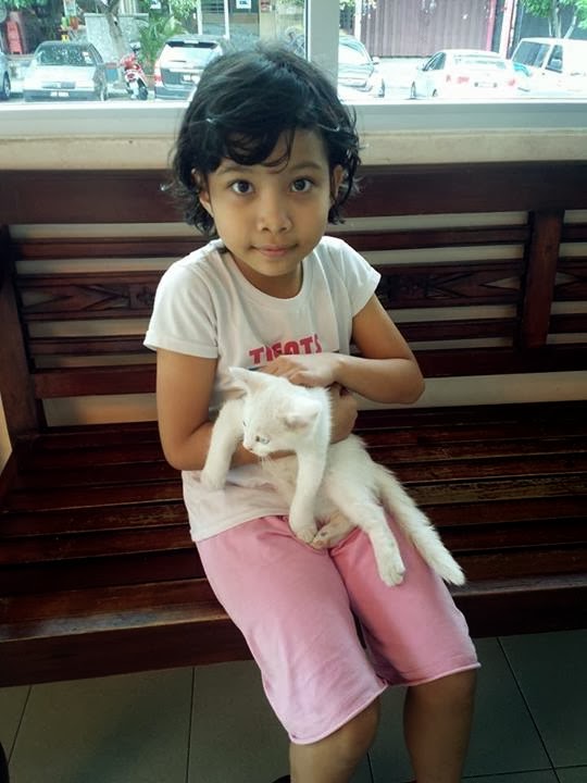 Projek Vaccine Dan Deworm Kucing Oreo Di Klinik Veterinar