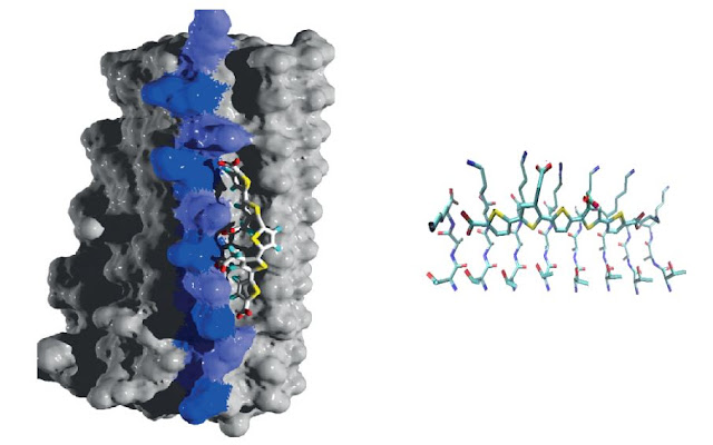Mechanism of Conducting Polymers