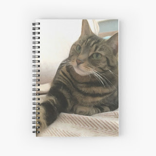 tabby cat art notebook