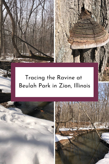 Tracing the Ravine at Beulah Park in Zion, Illinois