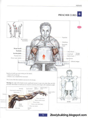 preacher curl machine