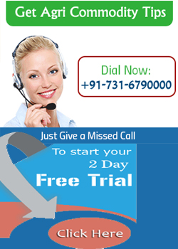 Agri commodity Calls, Agri commodity Tips, Free  Commodity Tips, Free Agri Tips, Mcx Tips Services, Soyabean Tips, 