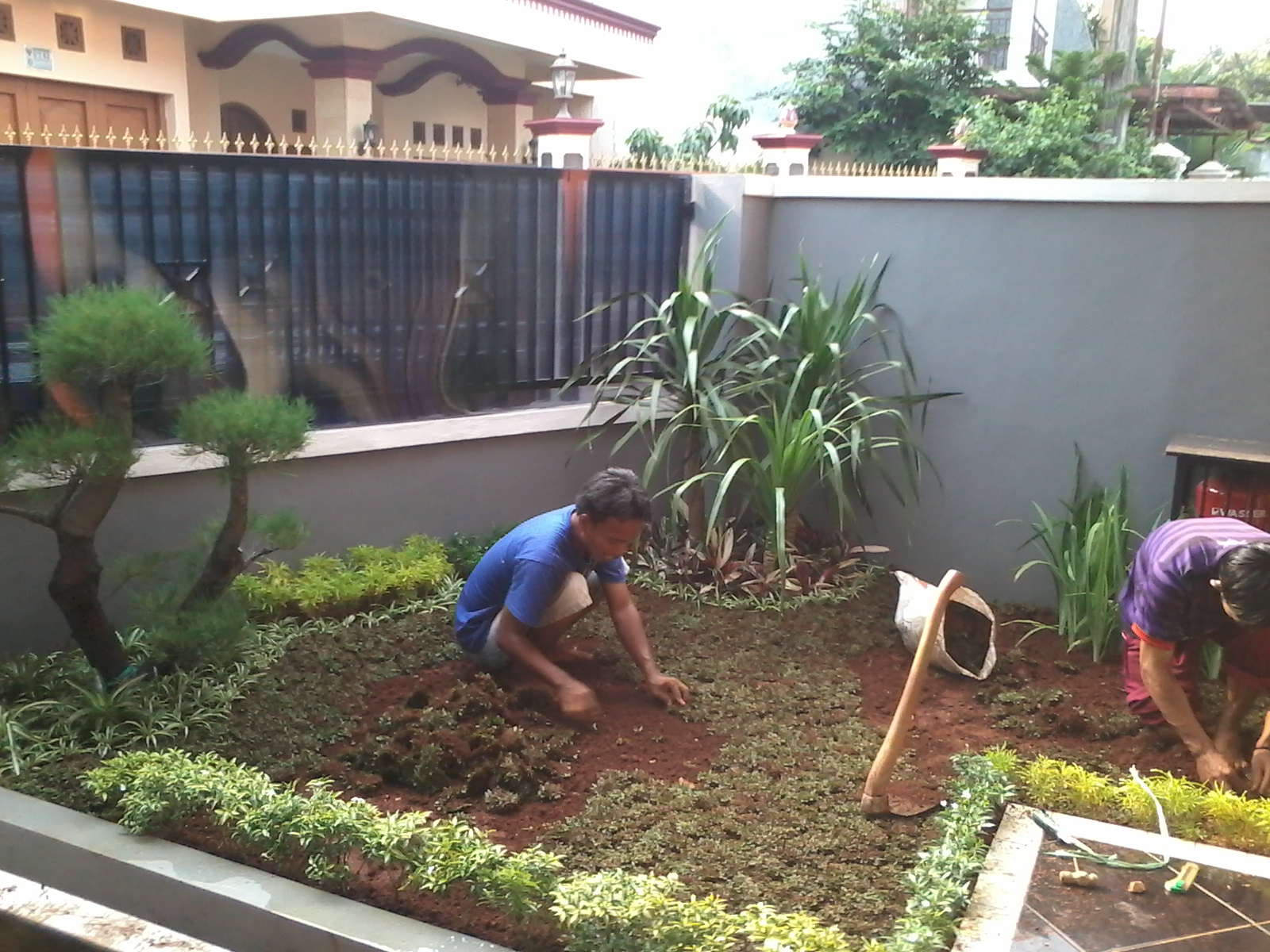 Cara Membuat Taman Depan Rumah Sederhana Destaman