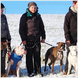 Amy und ich auf dem Boxergeschwistertreffen