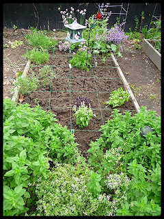 herb bed