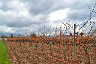 Bodega Ramón Bilbao - Haro - Venta del Soton