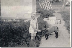 Gary Easter about 5 years old feeding lamb (Medium)