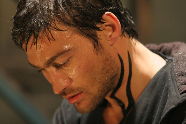 andy whitfield