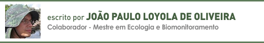 Clique aqui para ler mais artigos de João Paulo Loyola de Oliveira