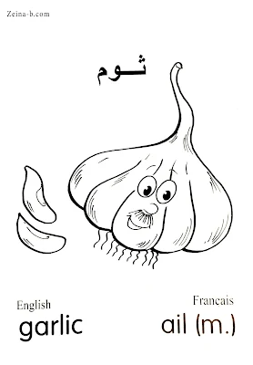 ثوم - Garlic- Ail