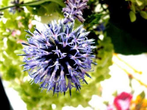The Symbolic Magic Of A Garden
