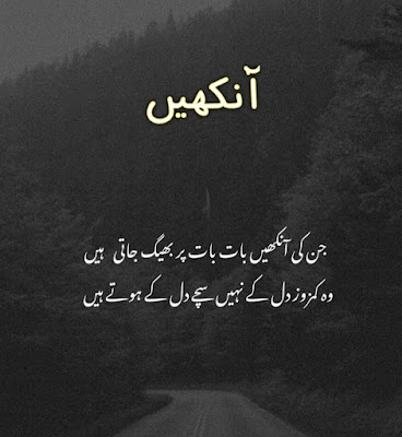 35+ Beautiful Amazing Urdu Quotes DP About Daily Life with Pictures