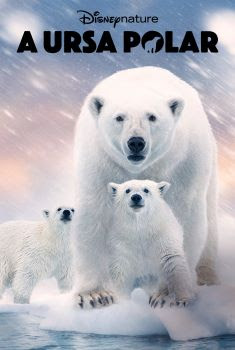 A Ursa Polar Torrent – WEB-DL 720p/1080p/4K Dual Áudio Download