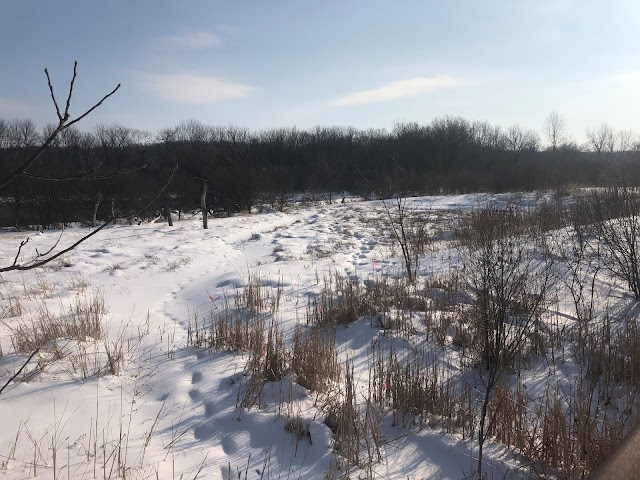 Exploring Hidden Lake Forest Preserve in Downers Grove, Illinois