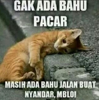 12 Meme 'Bully Jomblo' Ini Bikin Ngakak Parah, Tega Banget Nyakitinnya